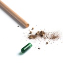 Potlood met zaden (Zonnebloem) met gravure