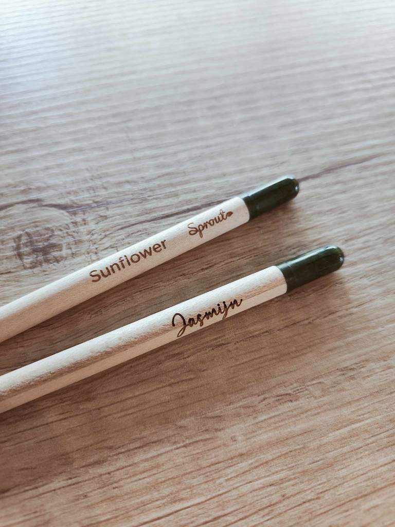 Potlood met zaden (Zonnebloem) met gravure